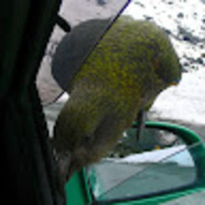 Meet your Posher, Chris